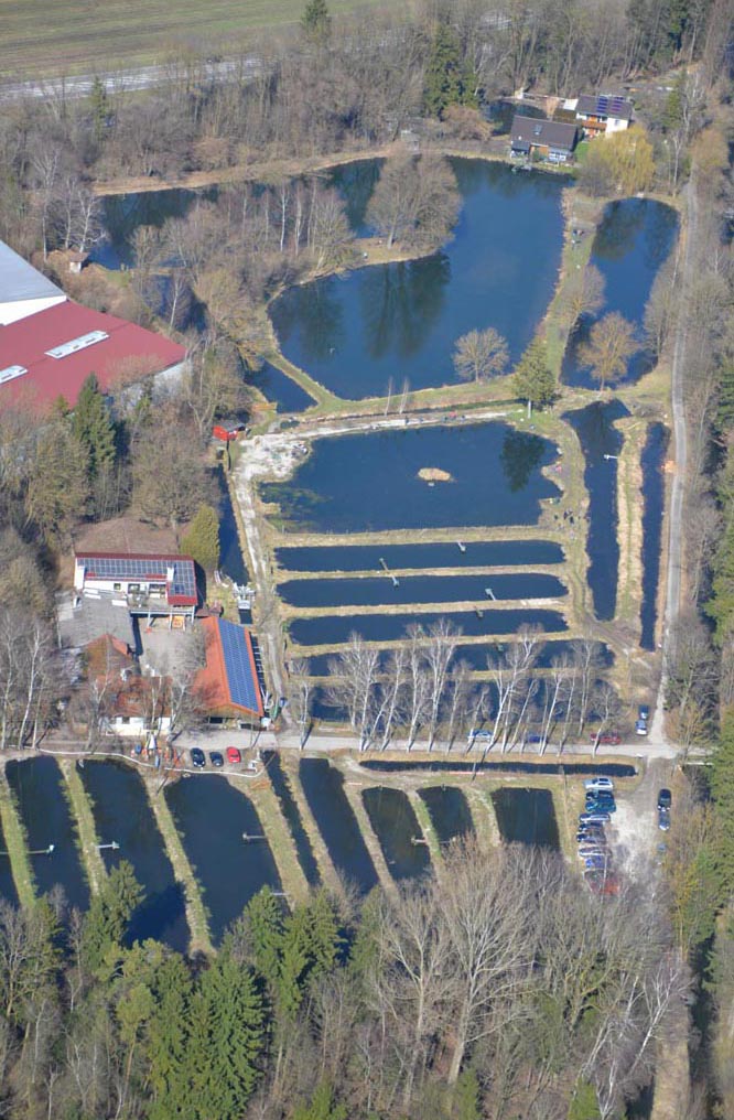 Fischgut Waldheim